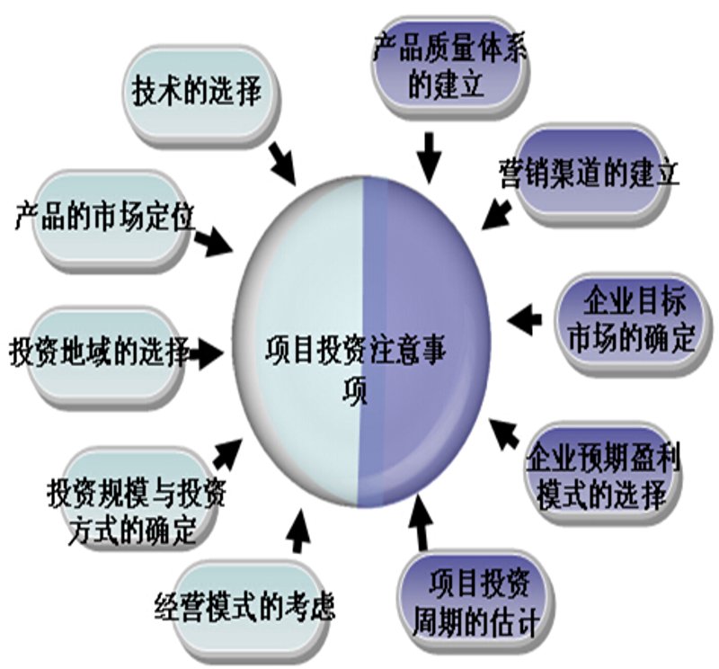 项目可行性
